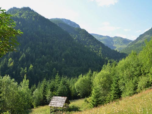 Foto Valea Rea fundal (c) Lucian Petru Goja